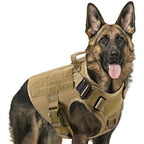 Fast Shipping Military Dog Tactical Harness and Leash Set - product type - NovaVisio