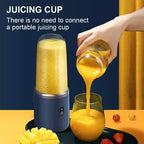 High Quality Twin Gear Portable Juice Blender - product type - NovaVisio