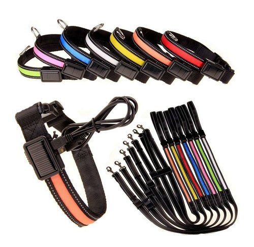 USB and Solar Charge Reflective Led Dog Collar - product type - NovaVisio