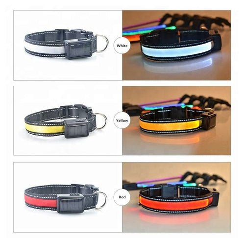 USB and Solar Charge Reflective Led Dog Collar - product type - NovaVisio