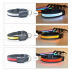 USB and Solar Charge Reflective Led Dog Collar - product type - NovaVisio