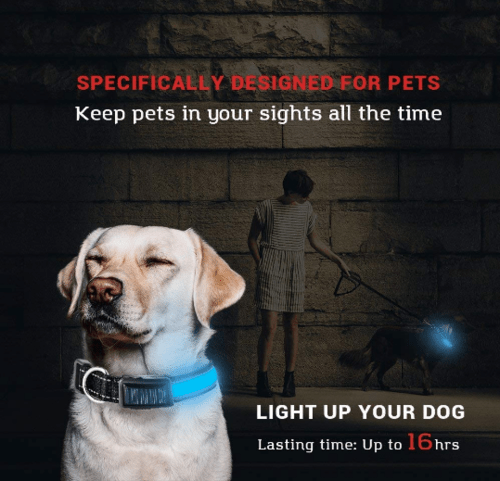 USB and Solar Charge Reflective Led Dog Collar - product type - NovaVisio