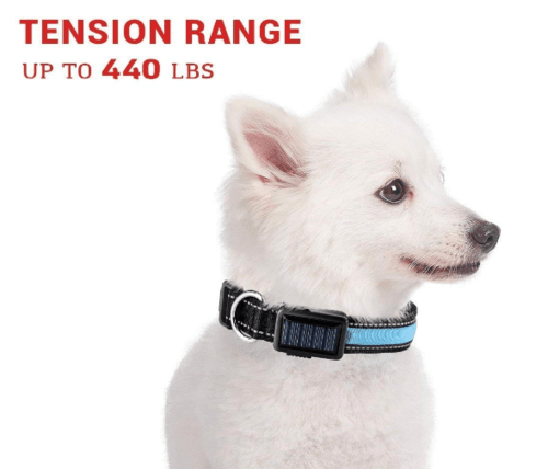 USB and Solar Charge Reflective Led Dog Collar - product type - NovaVisio