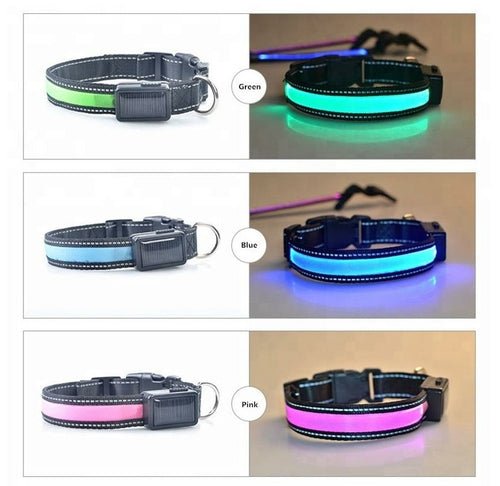 USB and Solar Charge Reflective Led Dog Collar - product type - NovaVisio
