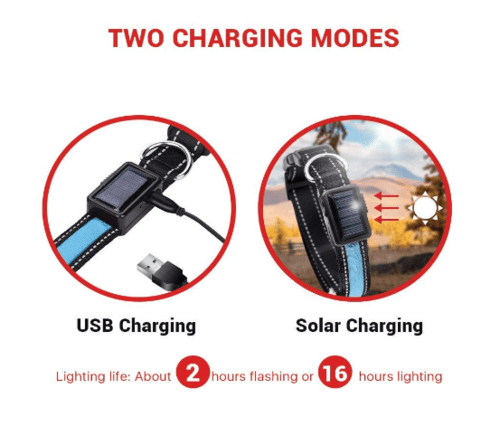 USB and Solar Charge Reflective Led Dog Collar - product type - NovaVisio